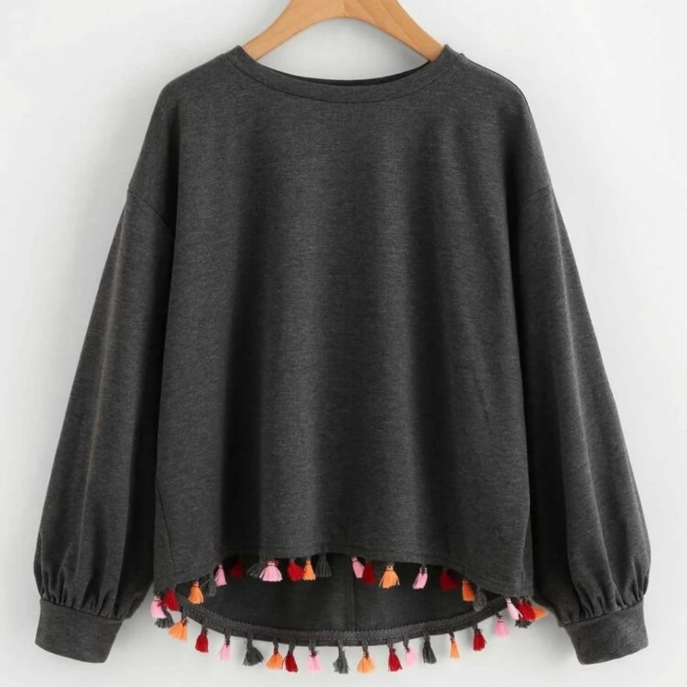 Colorful Tassel Trim Dip Hem Heathered Pullover